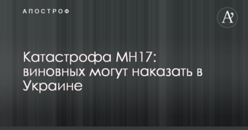 Катастрофа МН17: виновных могут наказать в Украине