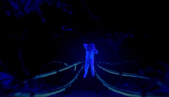 Украинцы ошарашили судей конкурса талантов в США невероятным номером: в сети показали яркое видео