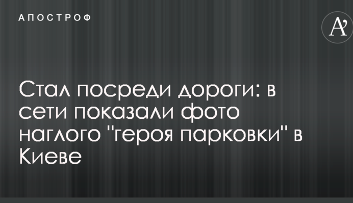 Стал посреди дороги: в сети показали фото наглого 