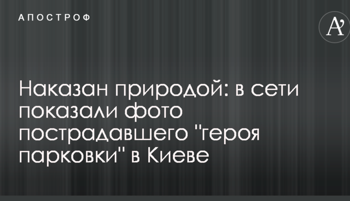 Покараний природою: в мережі показали фото потерпілого 