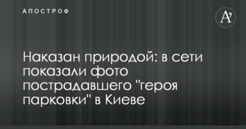 Покараний природою: в мережі показали фото потерпілого "героя паркування" в Києві
