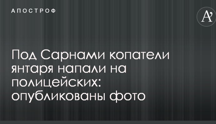 Под Сарнами копатели янтаря напали на полицейских: опубликованы фото