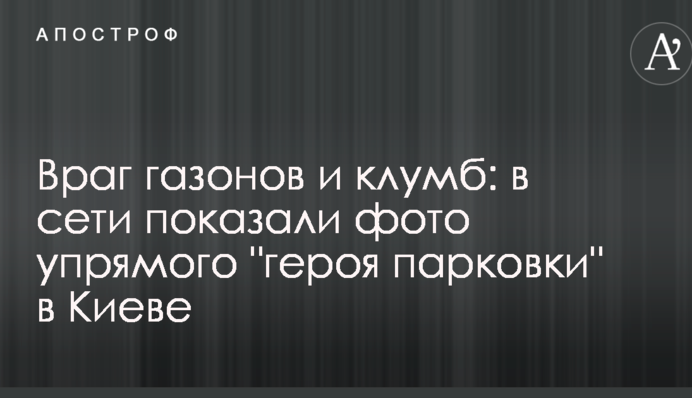 Ворог газонів і клумб: у мережі показали фото впертого 