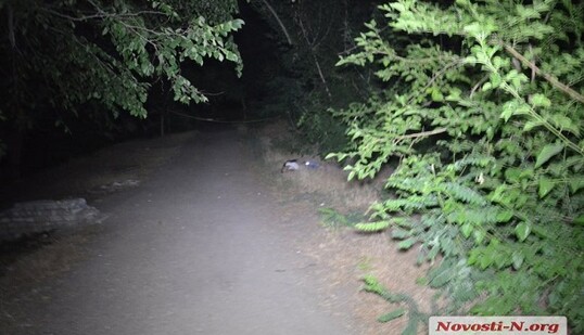 В Николаеве устроили смертельную стрельбу: опубликованы фото и видео