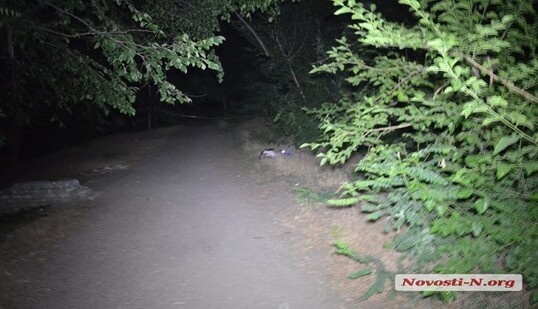 У мережі розповіли кумедну історію про злодійку-невдаху в Києві: опубліковано фото