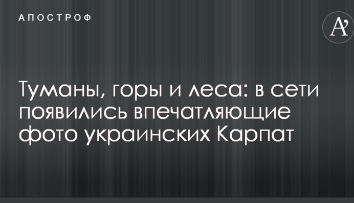 Тумани, гори і ліси: в мережі з'явилися вражаючі фото українських Карпат