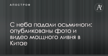 З неба падали восьминоги: опубліковані фото і відео потужної зливи в Китаї