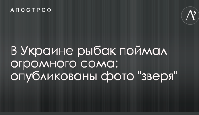 В Україні рибалка зловив величезного сома: опубліковано фото 