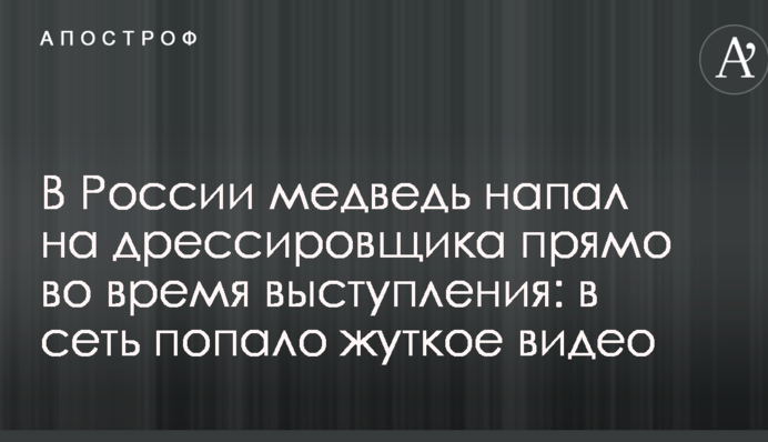 В России медведь напал на дрессировщика прямо во время выступления: в сеть попало жуткое видео