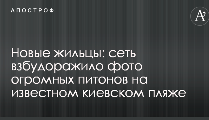 Новые жильцы: сеть взбудоражило фото огромных питонов на известном киевском пляже