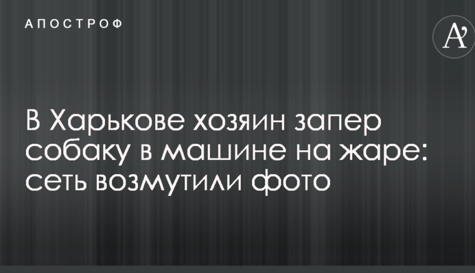 В Харкові господар замкнув собаку в машині на спеці: мережу обурили фото