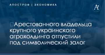 ​Арестованного владельца крупного украинского агрохолдинга отпустили под символический залог