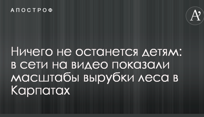 Ничего не останется детям: в сети на видео показали масштабы вырубки леса в Карпатах