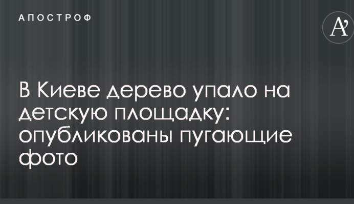 У Києві дерево впало на дитячий майданчик: опубліковано лячні фото