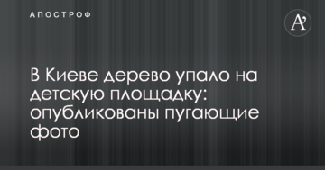 У Києві дерево впало на дитячий майданчик: опубліковано лячні фото