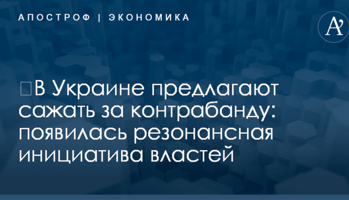 ​В Украине предлагают сажать за контрабанду: появилась резонансная инициатива властей
