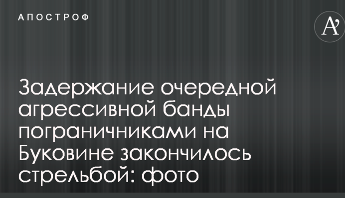 Задержание очередной агрессивной банды пограничниками на Буковине закончилось стрельбой: фото
