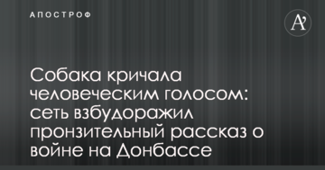 Собака кричала людським голосом: мережу розбурхав пронизлива розповідь про війну на Донбасі