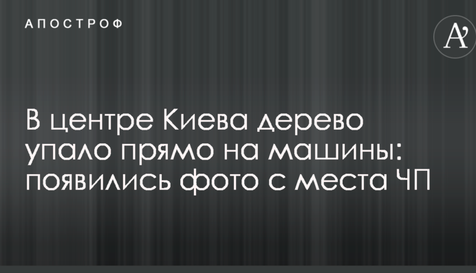 У центрі Києва дерево впало прямо на машини: з'явилися фото з місця НП
