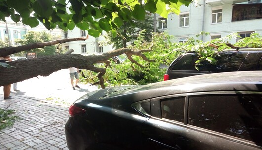 Из-за новшеств Минобразования в школах возникли проблемы с приемом первоклассников – 