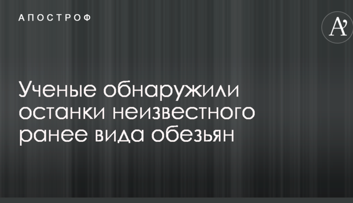 Ученые обнаружили останки неизвестного ранее вида обезьян