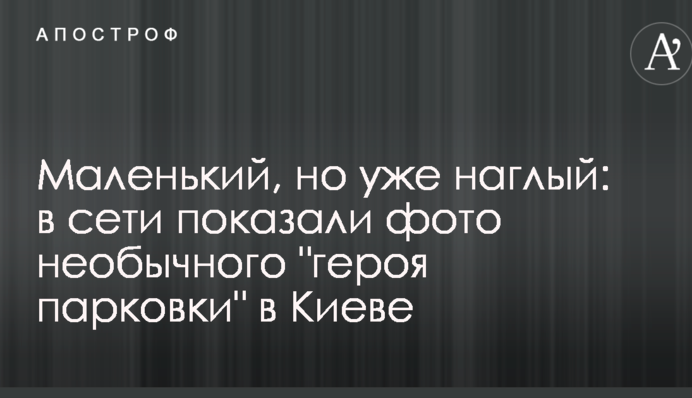 Маленький, але вже нахабний: у мережі показали фото незвичайного 