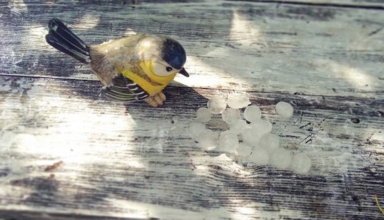 На Москву обрушился крупный град: опубликованы впечатляющие фото и видео