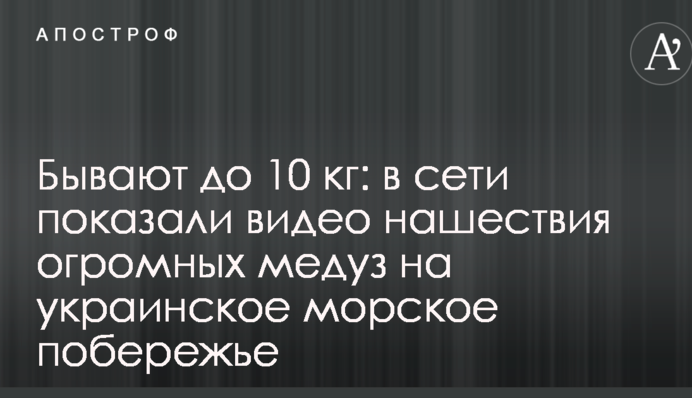 Бувають до 10 кг: у мережі показали відео навали величезних медуз на українське морське узбережжя