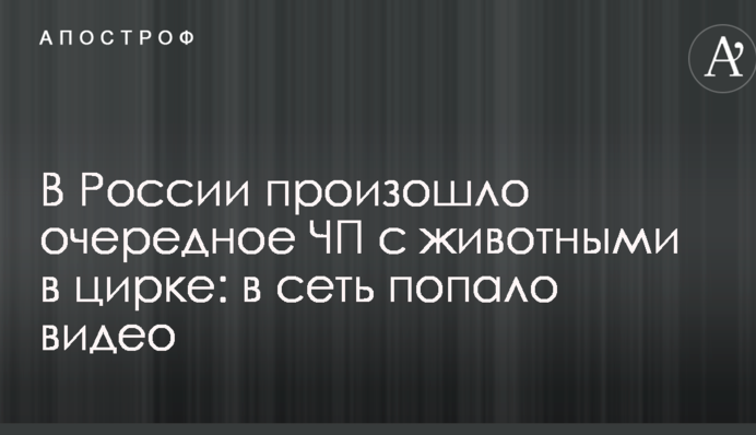 У Росії сталася чергова НП з тваринами в цирку: в мережу потрапило відео