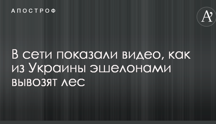 В сети показали видео, как из Украины эшелонами вывозят лес