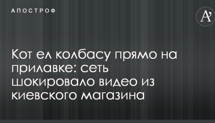Кот ел колбасу прямо на прилавке: сеть шокировало видео из киевского магазина