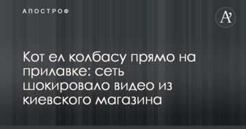 Легендарный баскетболист определился с новым клубом в НБА