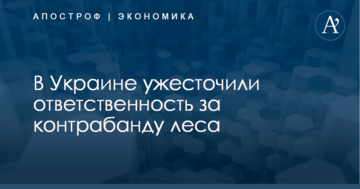 ​Будут сажать: в Украине ужесточили ответственность за контрабанду леса