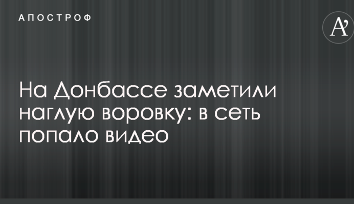 На Донбасі помітили нахабну злодійку: в мережу потрапило відео