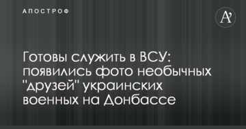 Готові служити в ЗСУ: з'явилися фото незвичайних "друзів" українських військових на Донбасі