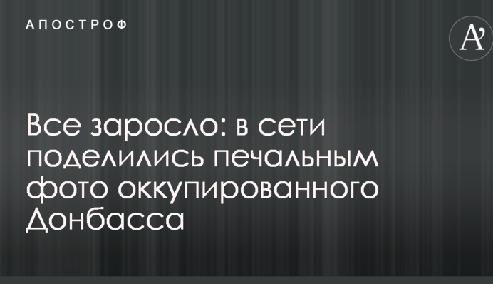 Все заросло: в сети поделились печальным фото оккупированного Донбасса