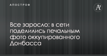 Все заросло: в мережі поділилися сумним фото окупованого Донбасу