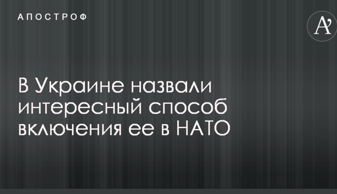 В Україні назвали цікавий спосіб включення її в НАТО