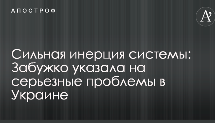 Сильна інерція системи: Забужко вказала на серйозні проблеми в Україні