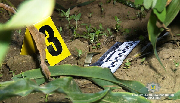 ​Кива назвал попыткой уничтожения промышленности остановку 