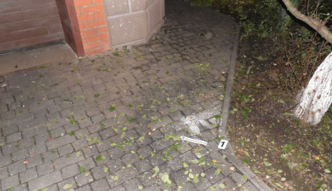 Богомолец требует отчета Супрун в Раде из-за нехватки вакцин