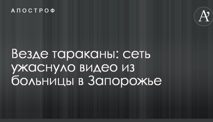 Везде тараканы: сеть ужаснуло видео из больницы в Запорожье