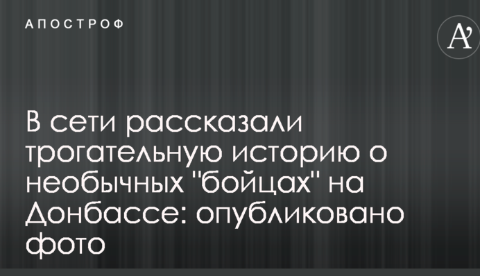 В сети рассказали трогательную историю о необычных 