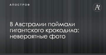 В Австралії зловили гігантського крокодила: неймовірні фото