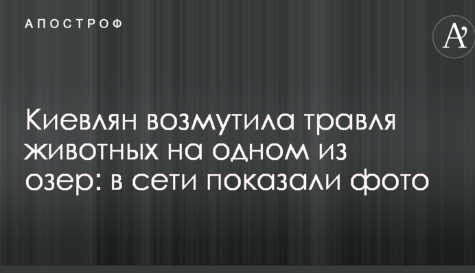 Киян обурило отруєння тварин на одному з озер: в мережі показали фото