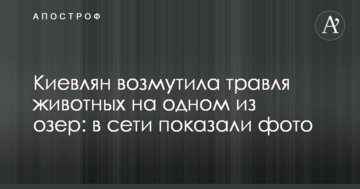 Киян обурило отруєння тварин на одному з озер: в мережі показали фото