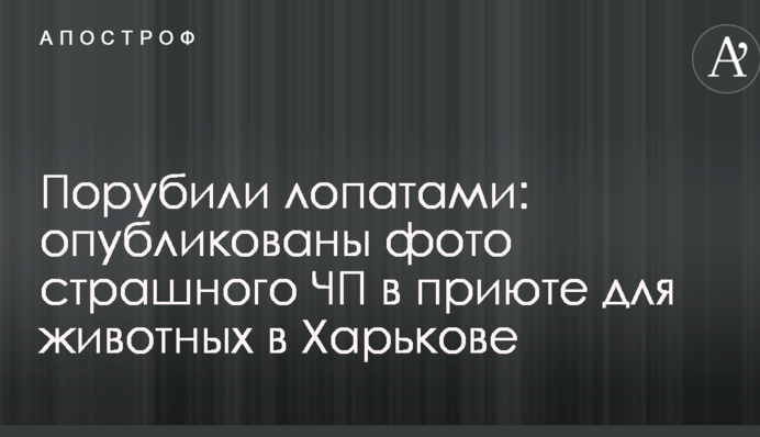 Порубили лопатами: опубликованы фото страшного ЧП в приюте для животных в Харькове