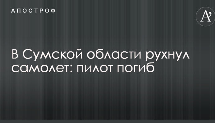 В Сумской области рухнул самолет: пилот погиб