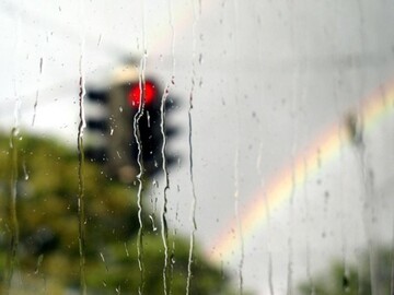 Журналистка рассказала о договорености Суркиса с украинскими фанатами по поводу песни о Путине на ЧМ-2018