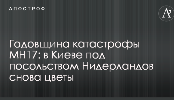 Річниця катастрофи MН17: у Києві під посольством Нідерландів знову квіти